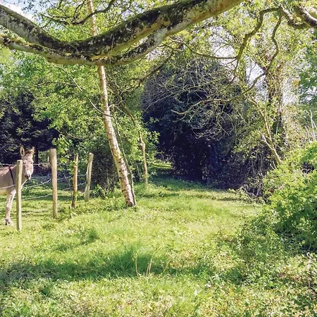 1 Bedroom Cozy In Lejlighed *