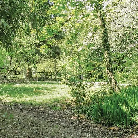 1 Bedroom Cozy In Lejlighed