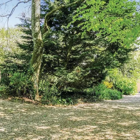 Apartament 1 Bedroom Cozy In *