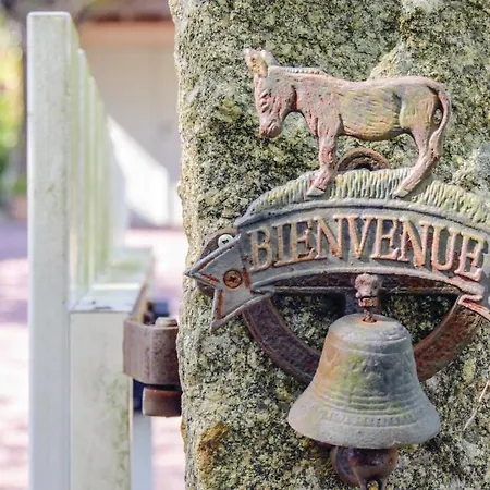 Appartamento 1 Bedroom Cozy In