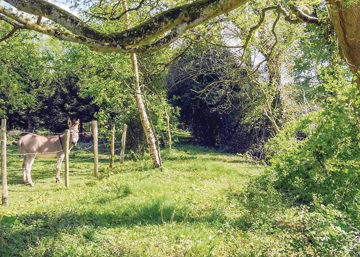 1 Bedroom Cozy In Apartamento *